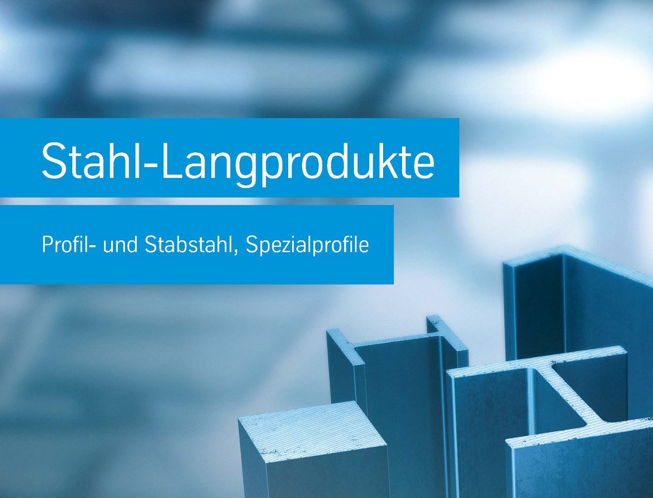 Werktstoffhandbuch Stahl Langprodukte